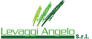 Edilizia Levaggi Logo